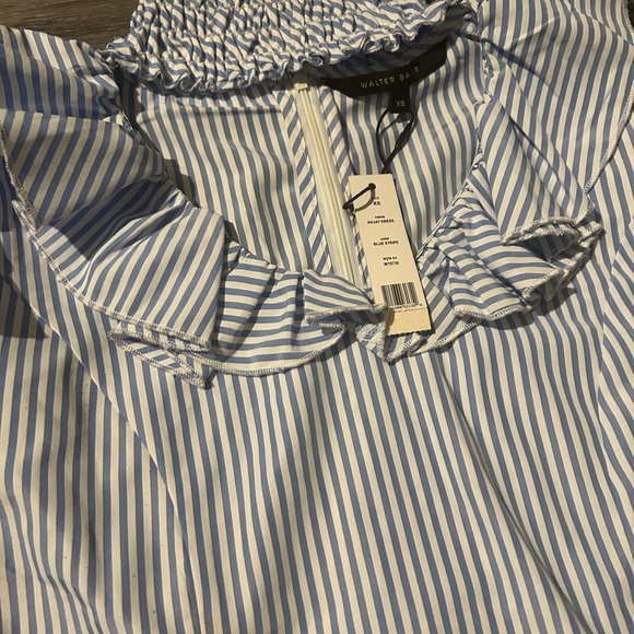 Walter Baker Blue and White Striped Dress - Picture 6 of 6